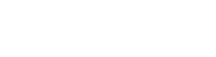Logo -Welsh Government